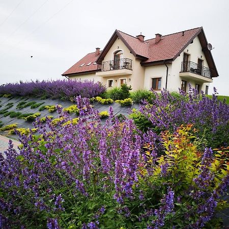 Apartamenty, Zielone Wzgorze Wiktora W Mikolajkach Mikolajki  Exterior photo