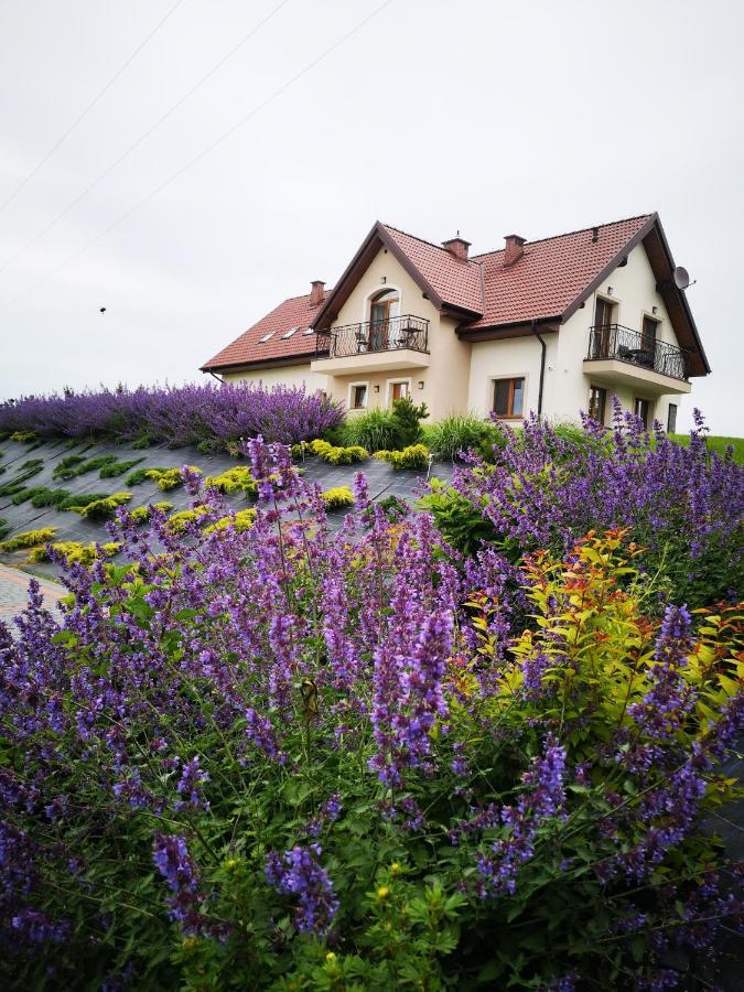 Apartamenty, Zielone Wzgorze Wiktora W Mikolajkach Mikolajki  Exterior photo